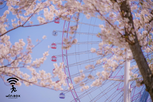 2025寶可夢小鎮  2025樂天世界寶可夢  2025韓國首爾寶可夢小鎮  Pokémon Town 2025  2025寶可夢小鎮必買商品  韓國寶可夢小鎮百變怪