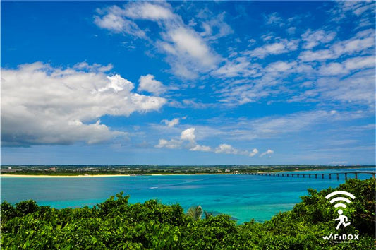 沖繩不踩雷伴手禮 沖繩雪鹽、紅芋、濕沙翁甜點 沖繩特色 沖繩旅遊 沖繩自由行 伴手禮