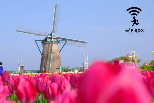 千葉縣佐倉故鄉廣場迷因柴犬 かぼすKabosu梗圖柴犬紀念雕像 かぼすKabosu柴犬彩繪井蓋 日本かぼすKabosu柴犬打卡景點 かぼすKabosu柴犬是什麼 日本千葉縣かぼすKabosu柴犬 かぼすKabosu柴犬介紹 日本佐倉故鄉廣場詳細介紹 千葉縣佐倉故鄉廣場荷蘭風車 佐倉故鄉廣場交通資訊 佐倉故鄉廣場營業時間 