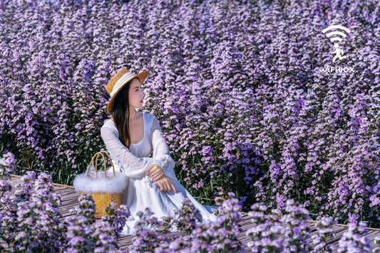 2025普羅旺斯暑假必去薰衣草景點 2025普羅旺斯薰衣草必訪景點 普羅旺斯推薦伴手禮 普羅旺斯特色美食 2025普羅旺斯夏季節慶活動 2025普羅旺斯暑假活動推薦 普羅旺斯暑假薰衣草的活動 2025普羅旺斯六月薰衣草活動一覽 2025普羅旺斯七月薰衣草活動全攻略 2025普羅旺斯八月薰衣草活動攻略總攬 普羅旺斯薰衣草特色商品 普羅旺斯薰衣草當地品牌 